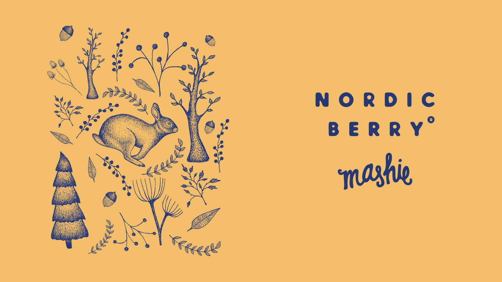 Dear problem Brand identity and Brand strategy Nordic Berry