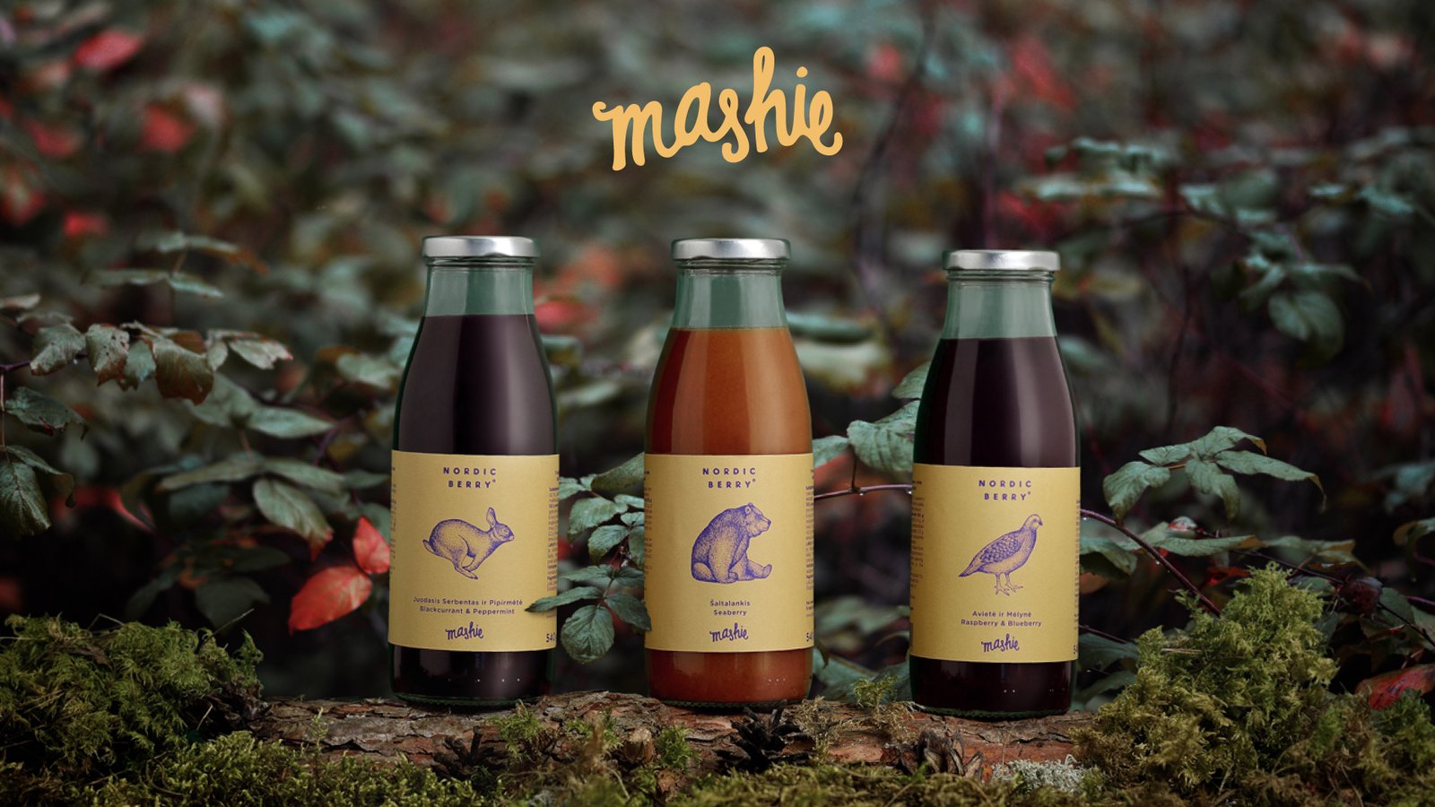 Dear problem Brand identity and Brand strategy Nordic Berry